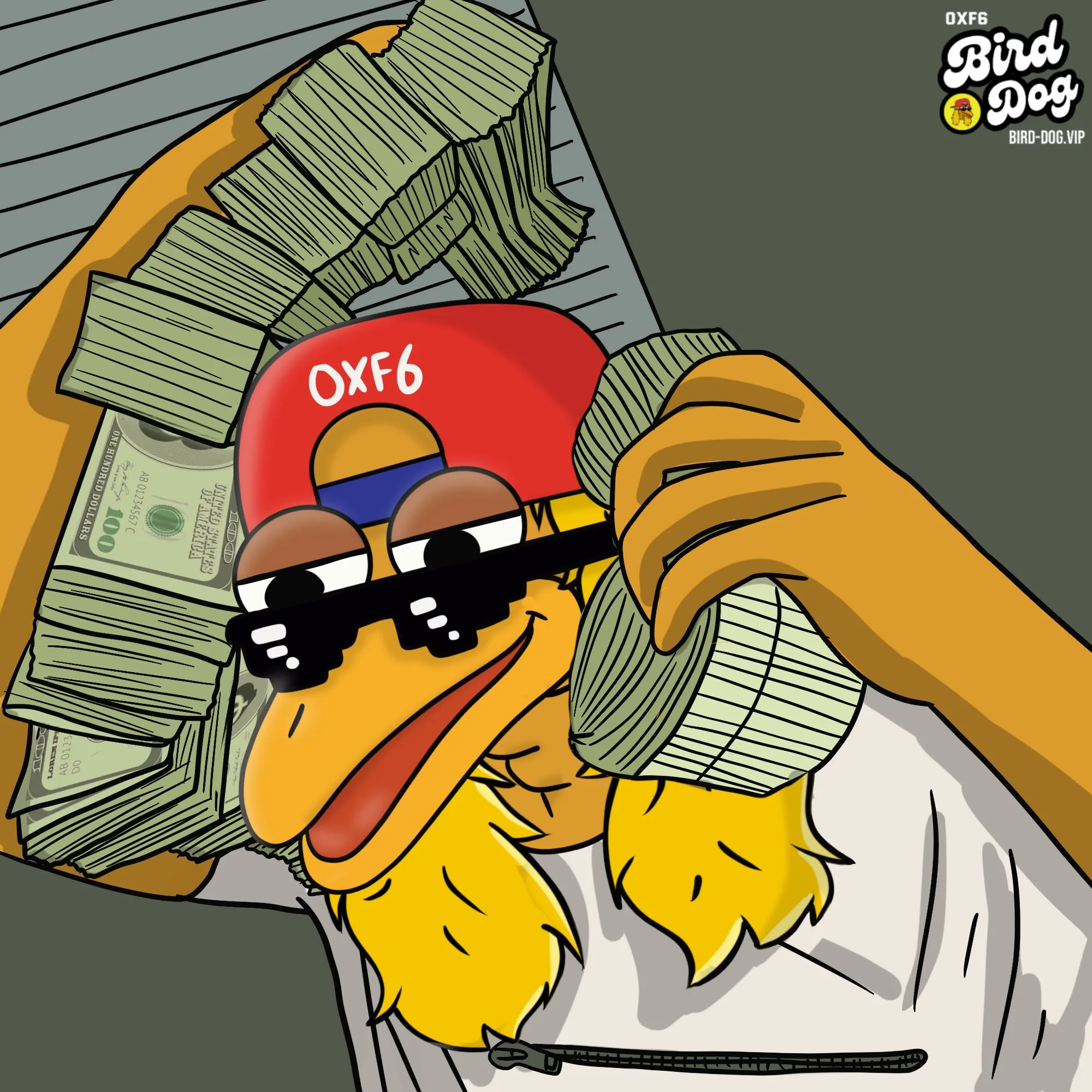 BirdDog art