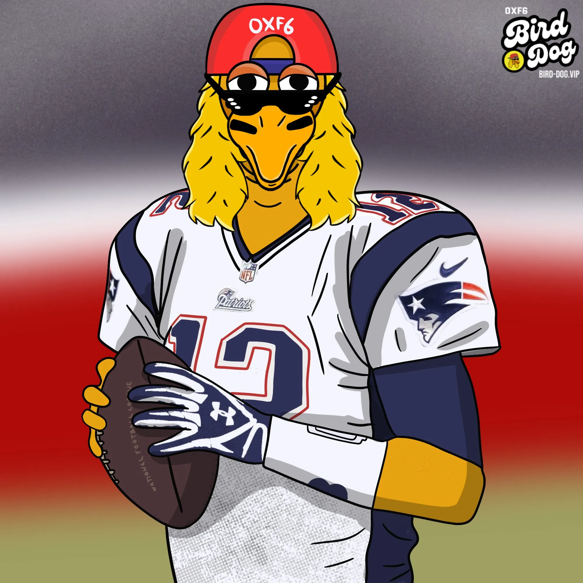 BirdDog art