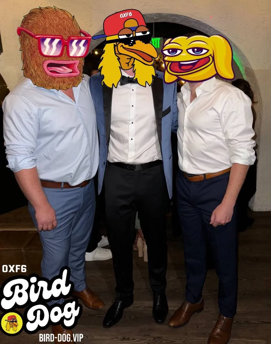 BirdDog art