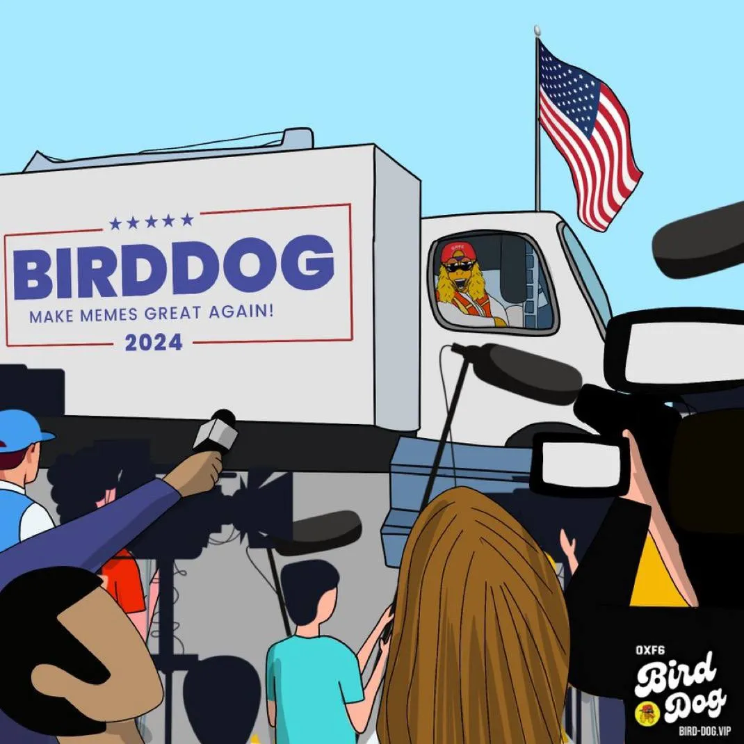 BirdDog art