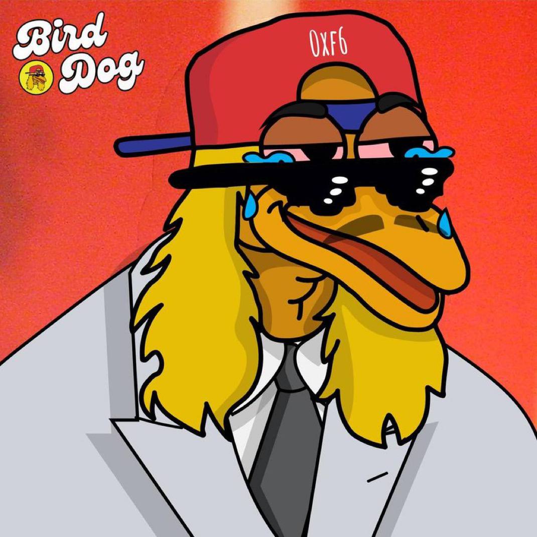 BirdDog art