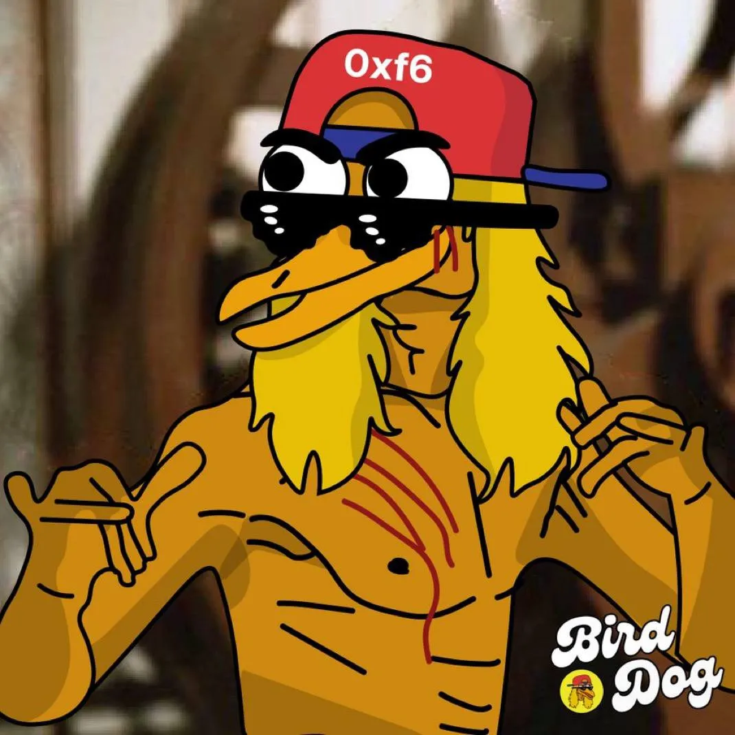 BirdDog art